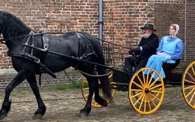 Amish-buggy van Jaap Roorda